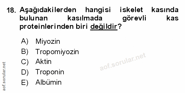 Soru 18