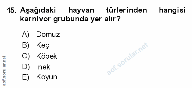 Soru 15
