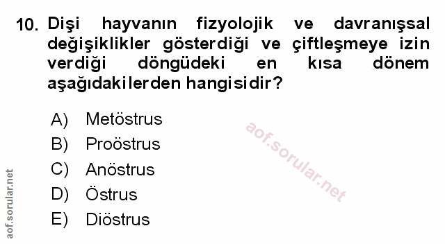 Soru 10
