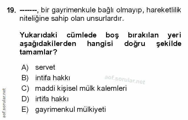 Soru 19