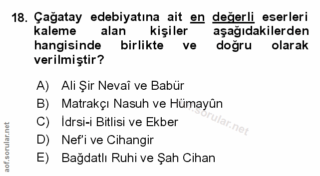 Soru 18