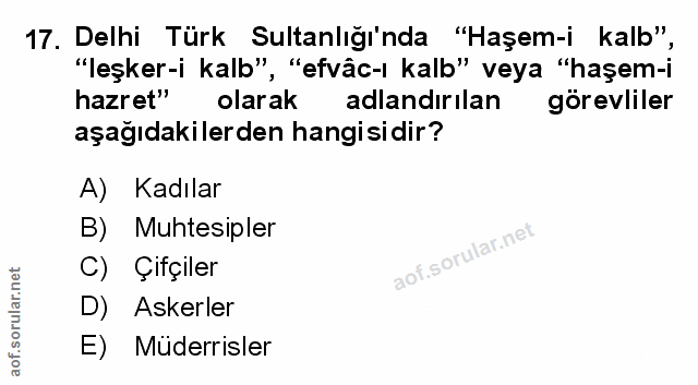 Soru 17