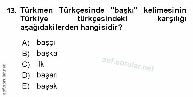 Soru 13