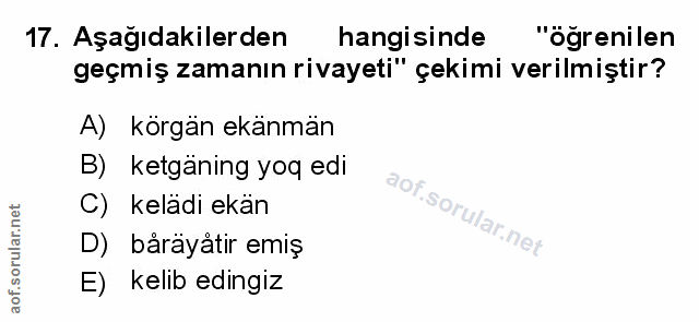 Soru 17