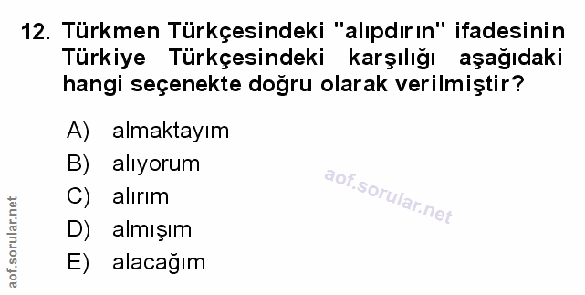 Soru 12