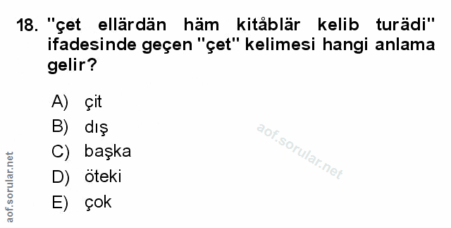 Soru 18