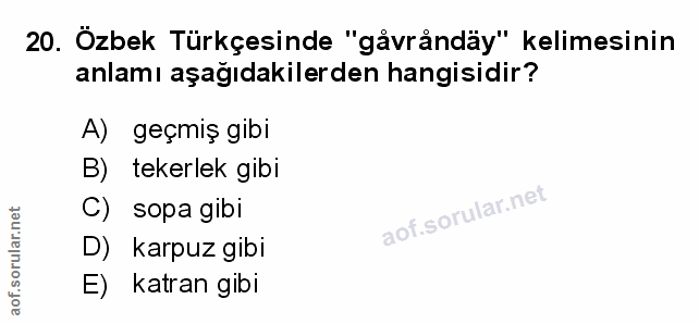 Soru 20