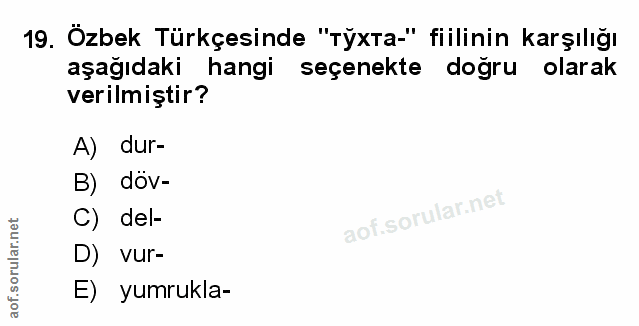 Soru 19