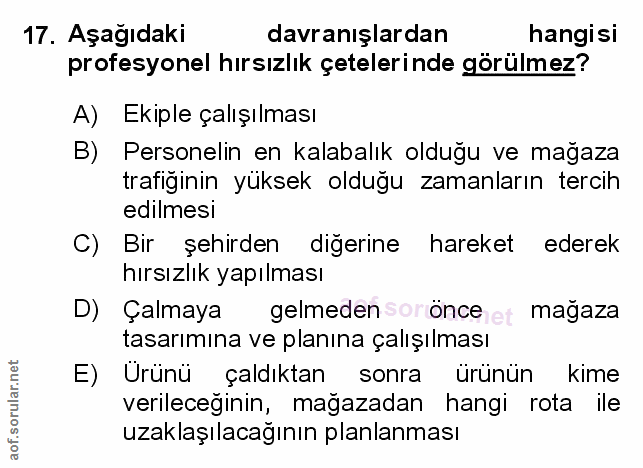 Soru 17