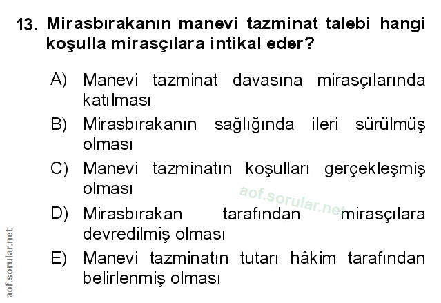 Soru 13