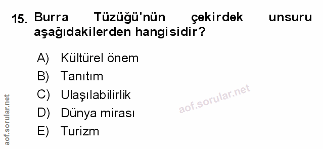 Soru 15