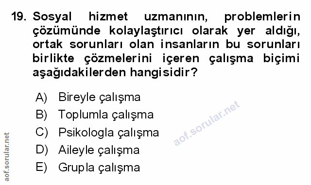 Soru 19