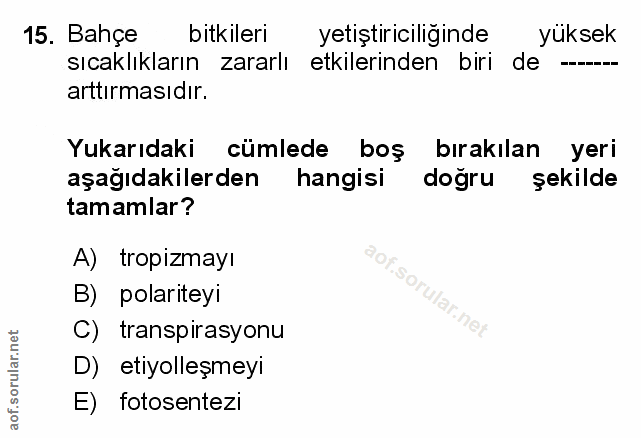 Soru 15