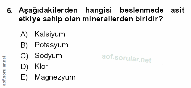 Soru 6