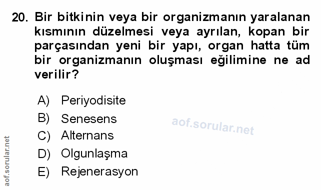 Soru 20