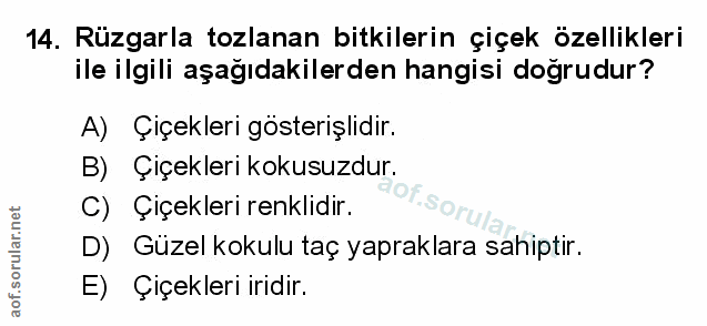 Soru 14