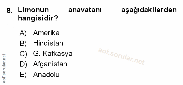 Soru 8