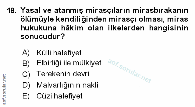 Soru 18