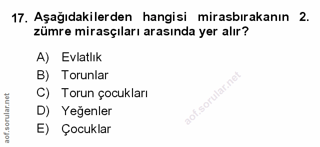Soru 17