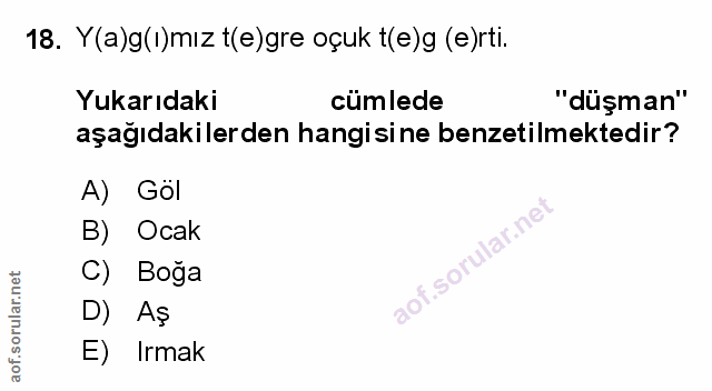 Soru 18