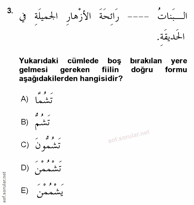 Soru 3