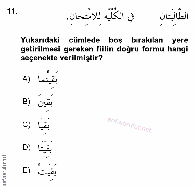 Soru 11