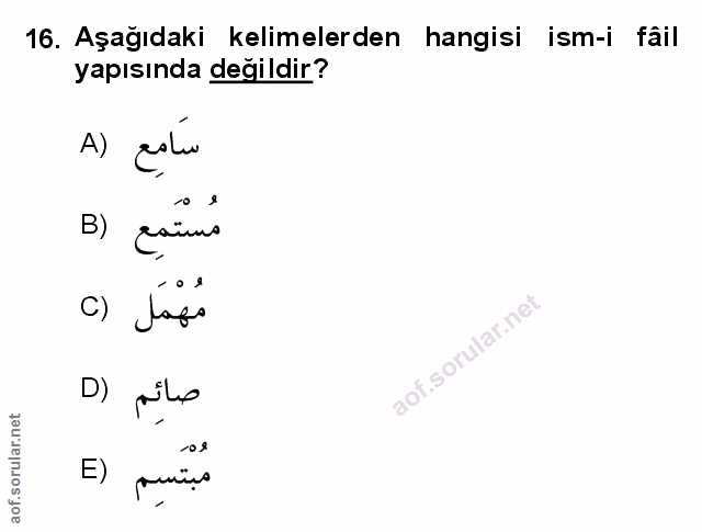 Soru 16