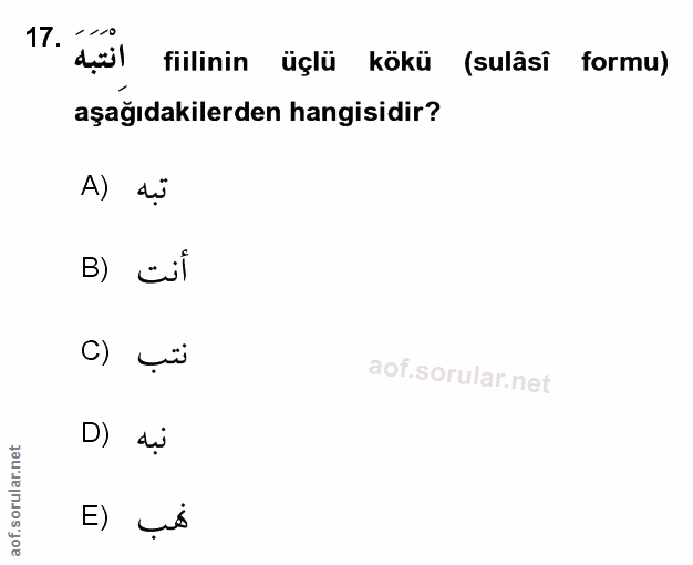 Soru 17