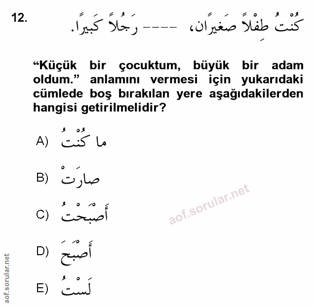 Soru 12