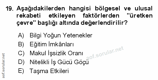 Soru 19