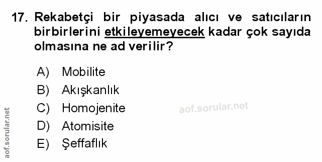 Soru 17