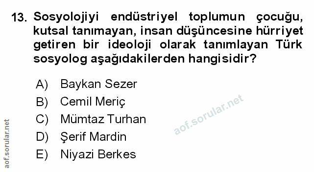 Soru 13