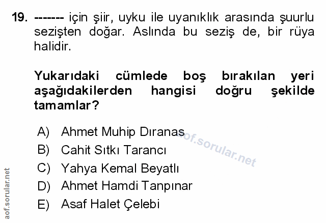 Soru 19