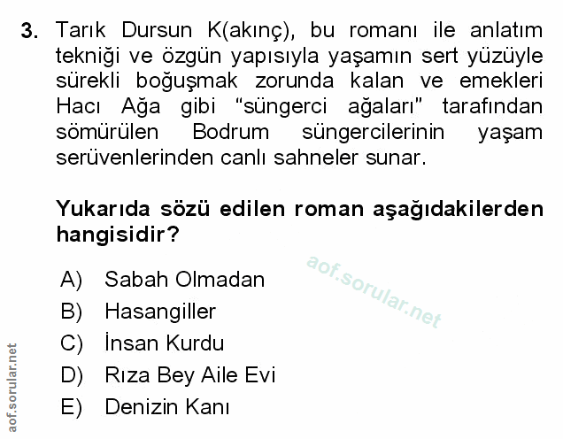 Soru 3