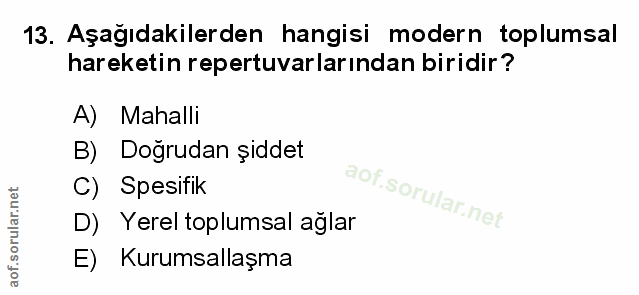 Soru 13