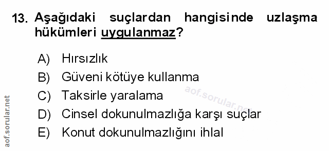 Soru 13