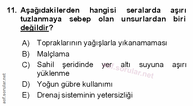 Soru 11