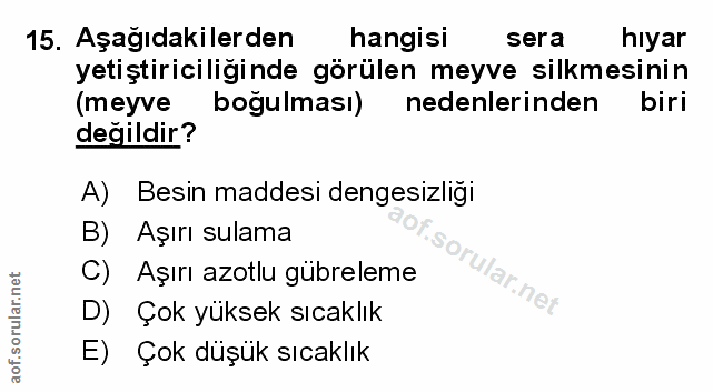 Soru 15