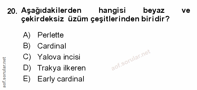 Soru 20