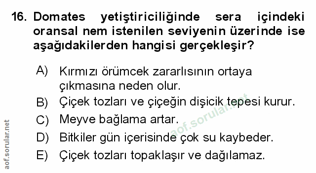 Soru 16