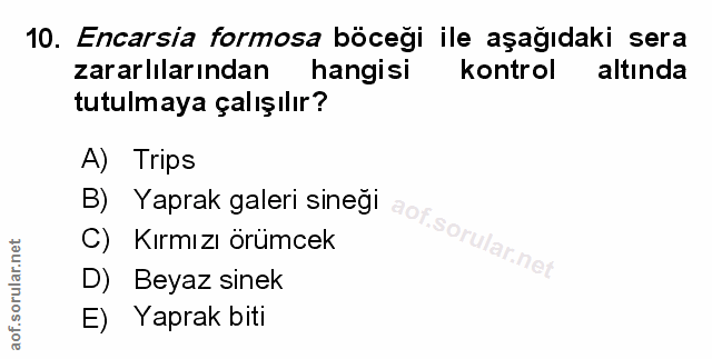 Soru 10
