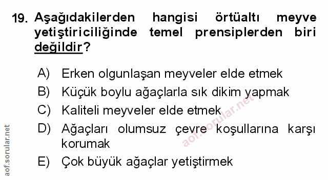 Soru 19