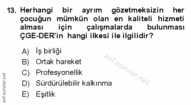 Soru 13