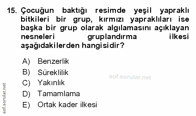 Soru 15