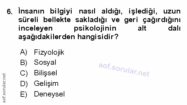 Soru 6