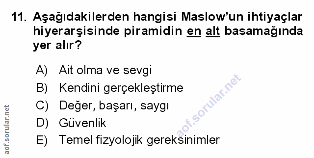 Soru 11