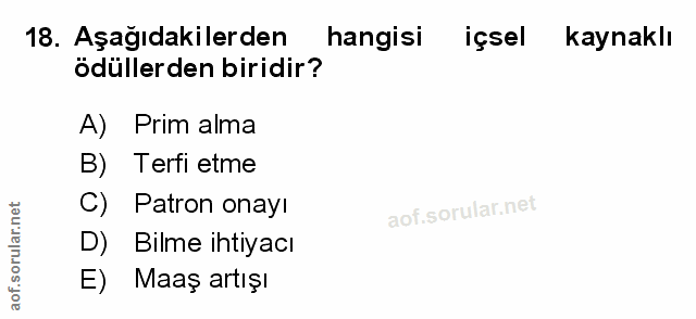 Soru 18