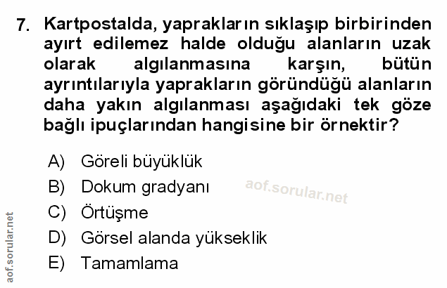 Soru 7