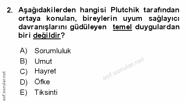 Soru 2
