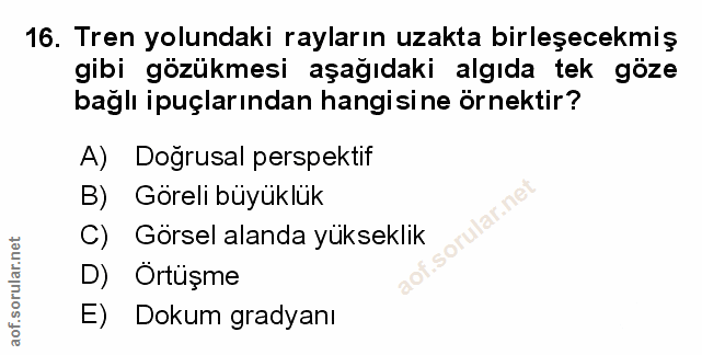 Soru 16